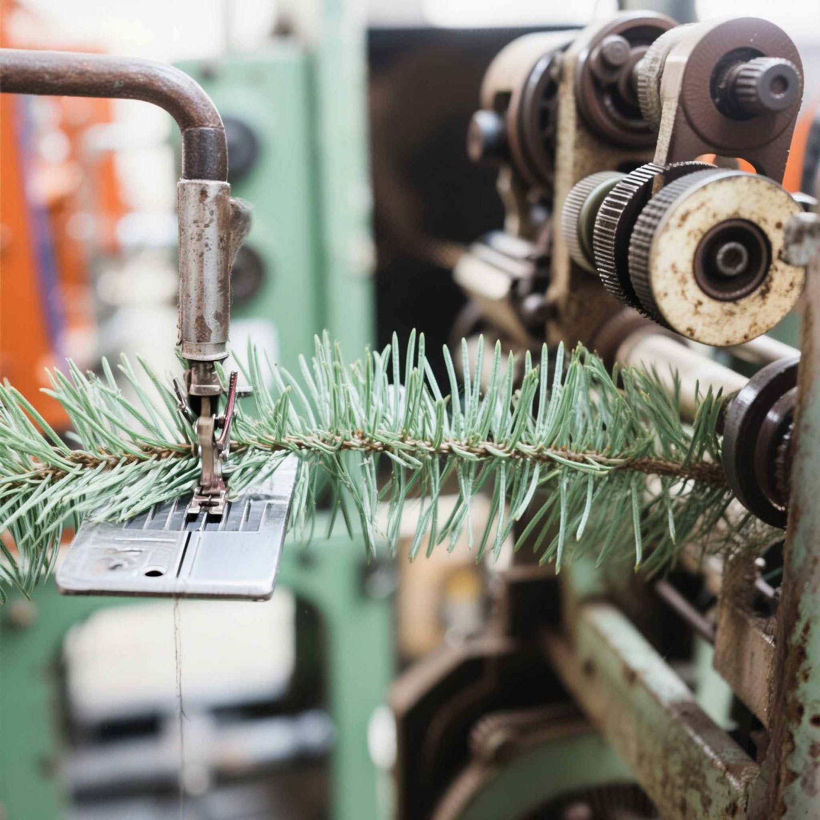 เครื่องผลิตพืชประดิษฐ์-ต้นสนเข็ม